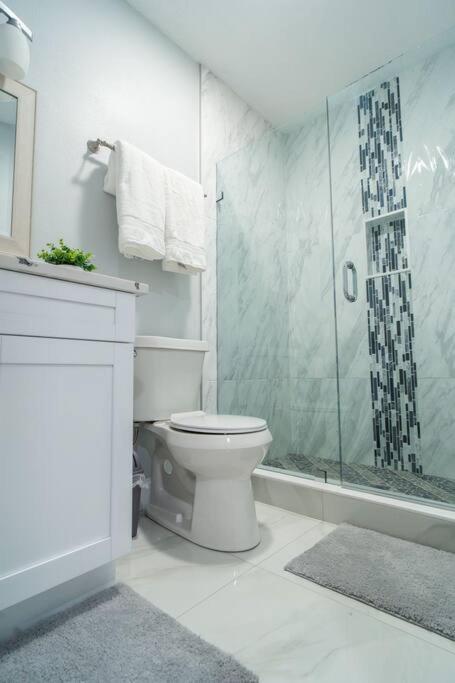 Grey Novo Studio + Free-Parking&Wifi Tampa Extérieur photo