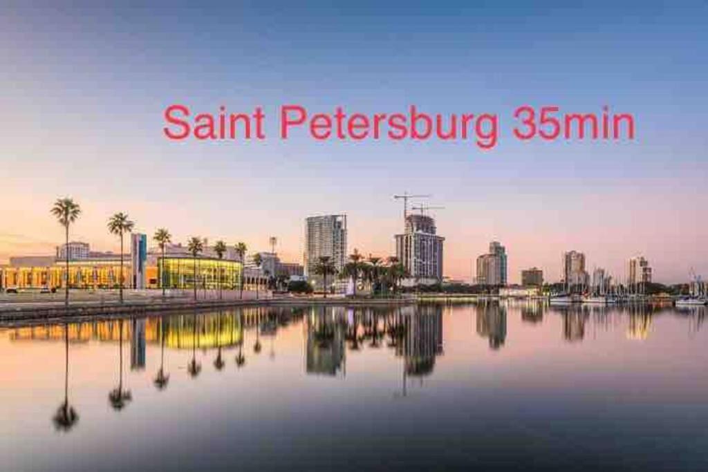 Grey Novo Studio + Free-Parking&Wifi Tampa Extérieur photo