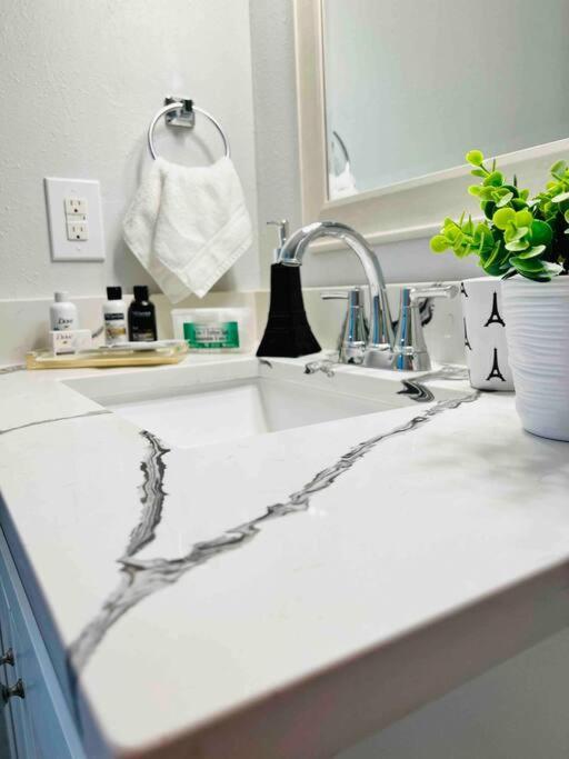 Grey Novo Studio + Free-Parking&Wifi Tampa Extérieur photo